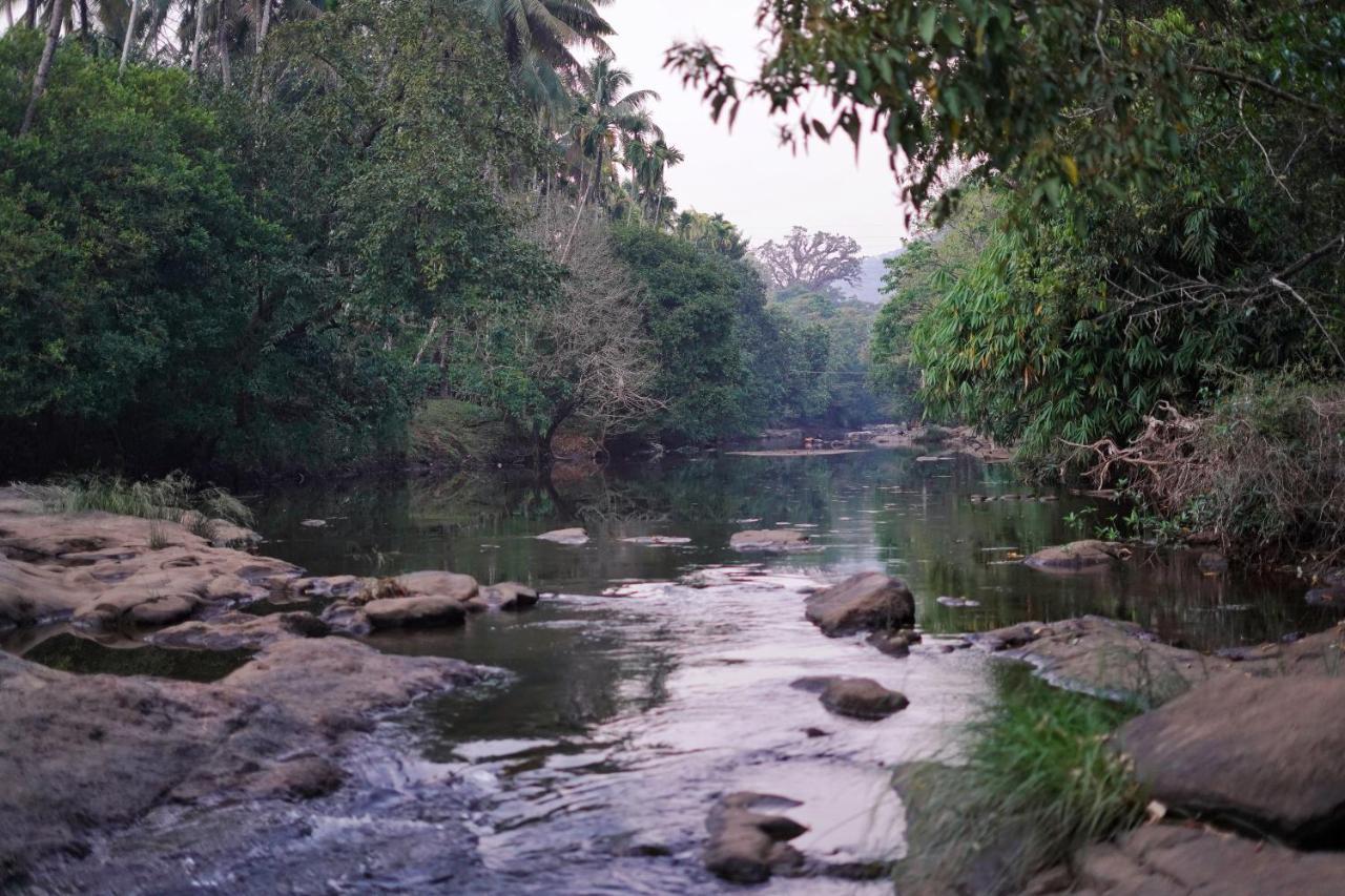 Athirapilly On The Rocks Hotel Athirappilly Exterior foto