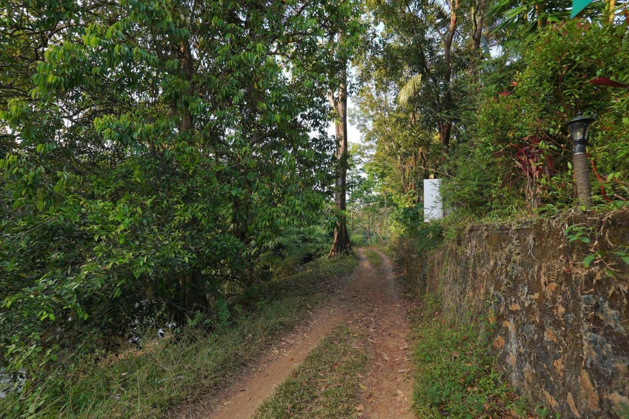 Athirapilly On The Rocks Hotel Athirappilly Exterior foto