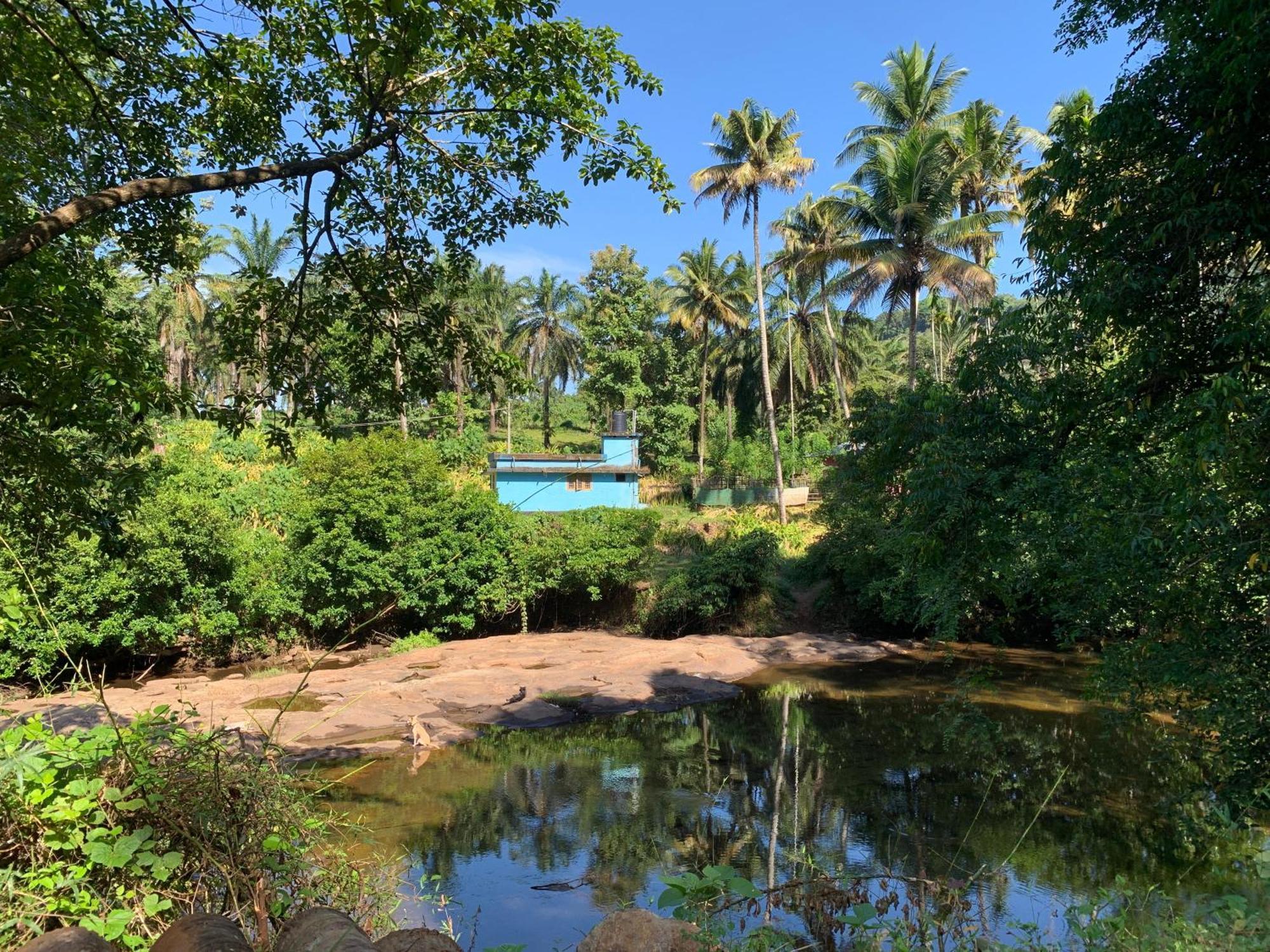 Athirapilly On The Rocks Hotel Athirappilly Exterior foto